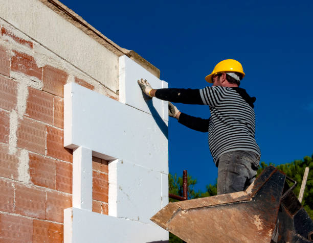 Best Cellulose Insulation  in Goldsboro, NC