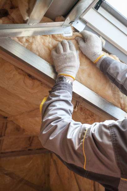 Best Attic Insulation Installation  in Goldsboro, NC