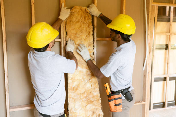 Best Soundproof Insulation Installation  in Goldsboro, NC