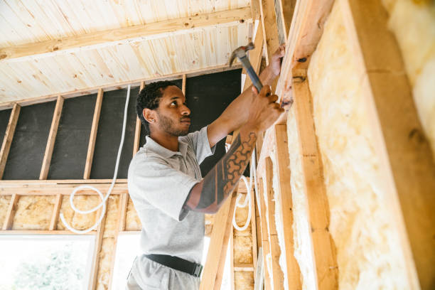 Best Insulation Removal  in Goldsboro, NC